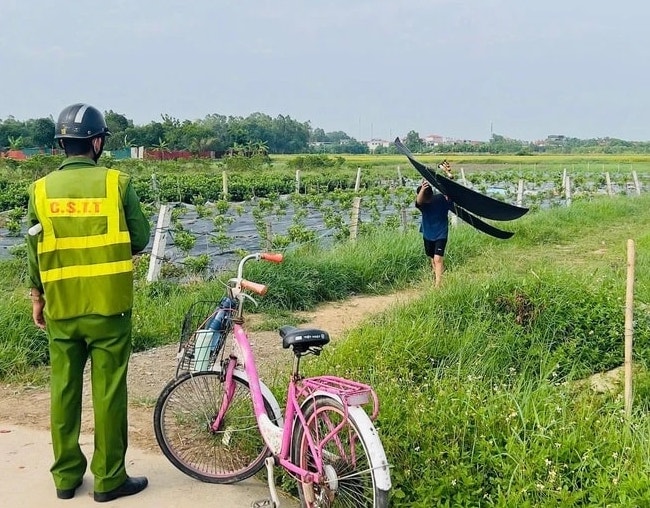 7 chuyến bay bị ảnh hưởng do phi công phát hiện có diều tại Nội Bài