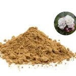 Nguyên liệu cao bạch đồng nữ ở đâu?