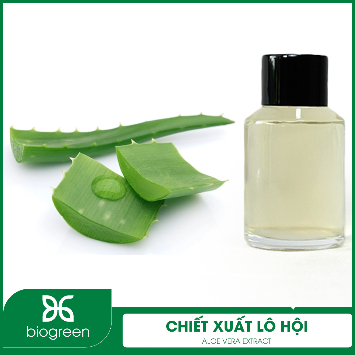 chiet-xuat-lo-hoi