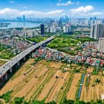 1786521132443_4265584522129919_g3844312476582548137_b93f5fd8a712a7cdc2d434822f14ffd2