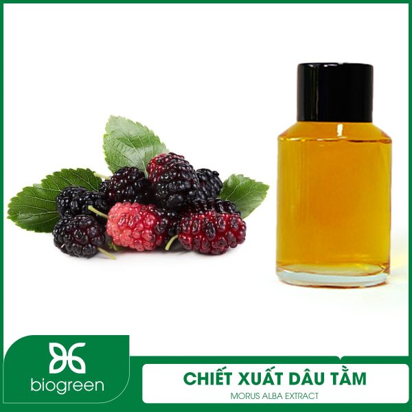 Công dụng chiết xuất dâu tằm là gì?